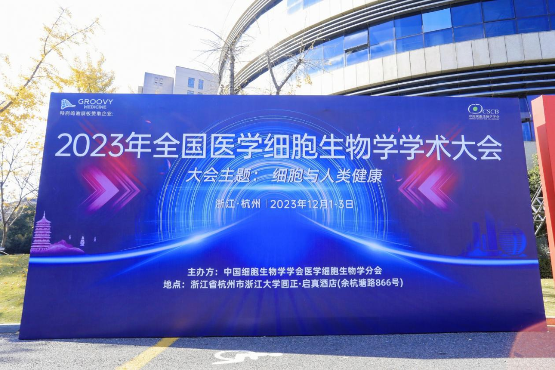 1702260820152381Bvld.png d955d418c41d882da174c2acc8deaff8.png