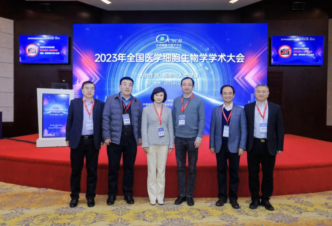 1702260843154093wyn3.png f9b53325d34427577cf800baa16f5b89.png